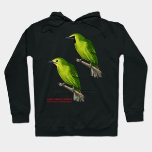 Lesser Green Leafbird | Chloropsis cyanopogon ⚥ Hoodie